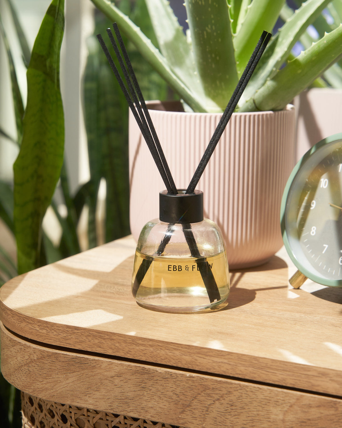 Reed Diffuser Scents for a Home That Feels Calm